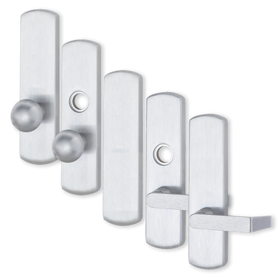 Exit Trim & Levers